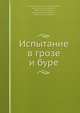 Испытание в грозе и буре, Иванов-Разумник 