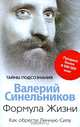 Формула Жизни. Как обрести Личную Силу, Валерий Синельников 