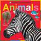 Animals, Ryan Jo 