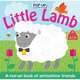 Little Lamb, Priddy Roger 