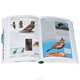 Birds of Britain and Europe (+ DVD-ROM), Rob Hume 