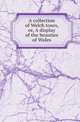 A collection of Welch tours, or, A display of the beauties of Wales, Welsh tours 