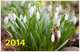 Настенный трехблочный квартальный календарь "Весенние цветы" с курсором на 2014 год, 