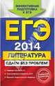 ЕГЭ-2014. Литература. Сдаем без проблем!, Екатерина Викторовна Михайлова 