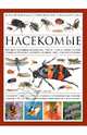 Насекомые. Всемирная иллюстрированная энциклопедия, Мартин Уолтерс 