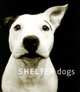 Shelter Dogs, Scott Traer 