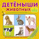 Детёныши животных, . 