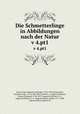 Die Schmetterlinge in Abbildungen nach der Natur. v 4.pt1, Eugen Johann Christoph Esper 