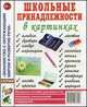 Школьные принадлежности в картинках. Наглядное пособие для педагогов, логопедов, воспитателей и родителей, 