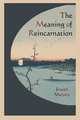 The Meaning of Reincarnation, Joseph Murphy 