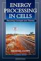 Energy Processing in Cells. Recurring Concepts and Themes, Michael Guppy 