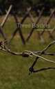 Three Borders, Henning Gloystein 
