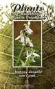 Plants. A Marvellous Green Creation, Anthony Leopold van Ewyk 