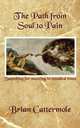The Path from Soul to Pain. Searching for Meaning in Troubled Times, Brian Cattermole 