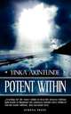 Potent Within, Yinka Akintunde 