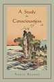 A Study in Consciousness. a Contribution to the Science of Psychology, Annie Besant 