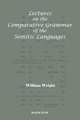 Lectures on the Comparative Grammar of the Semitic Languages, William Wright 