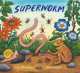 Superworm, Julia Donaldson 