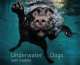 Underwater Dogs, Seth Casteel 