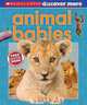 Scholastic Discover More: Animal Babies, Andrea Pinnington 
