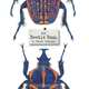The Beetle Book, Steve Jenkins 