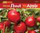 From Shoot to Apple (Start to Finish: Nature