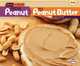 From Peanut to Peanut Butter (Start to Finish, Second Series: Food), Robin Nelson 