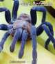 Blue Animals (All about a Rainbow of Animals), Melissa Stewart 