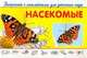 Насекомые. Раскраска с наклейками для детского сада, 