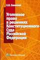 Уголовное право в решениях Конституционного Суда Российской Федерации, Андрей Елинский 