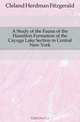 A Study of the Fauna of the Hamilton Formation of the Cayuga Lake Section in Central New York, Cleland Herdman Fitzgerald 