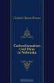 Carbonformation Und Dyas in Nebraska, Geinitz Hanns Bruno 