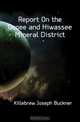Report On the Ocoee and Hiwassee Mineral District, Killebrew Joseph Buckner 