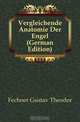 Vergleichende Anatomie Der Engel, G.T. Fechner 