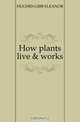 How plants live & works., HUGHES-GIBB ELEANOR 