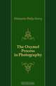The Oxymel Process in Photography, Delamotte Philip Henry 