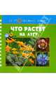 Что растет на лугу, Хоффман Гудрун 