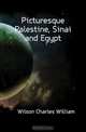Picturesque Palestine, Sinai and Egypt, Wilson Charles William 