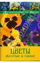 Цветы желтые и синие, Кремер Бруно 