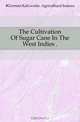 The Cultivation Of Sugar Cane In The West Indies, German Kali Works Agricultural Bureau 