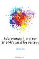 Andersonville, a story of Rebel military prisons, McElroy John 