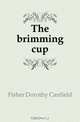 The brimming cup, Fisher Dorothy Canfield 