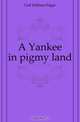 A Yankee in pigmy land, Geil William Edgar 