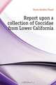 Report upon a collection of Coccidae from Lower California, Ferris Gordon Floyd 