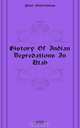 History Of Indian Depredations In Utah, Peter Gottfredson 