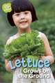 Lettuce Grows on the Ground (What Grows in My Garden), Anne Rooney 