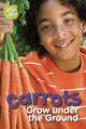 Carrots Grow under the Ground (What Grows in My Garden), Anne Rooney 