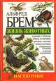 Жизнь животных. Насекомые, Альфред Брем 