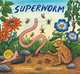 Superworm, Julia Donaldson 