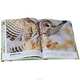 The Animal Book: A visual encyclopedia of life on Earth, 